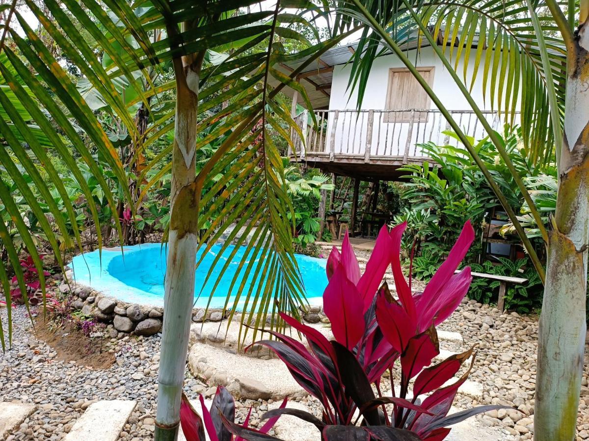 Cabana Vista Rio Celeste Exterior foto