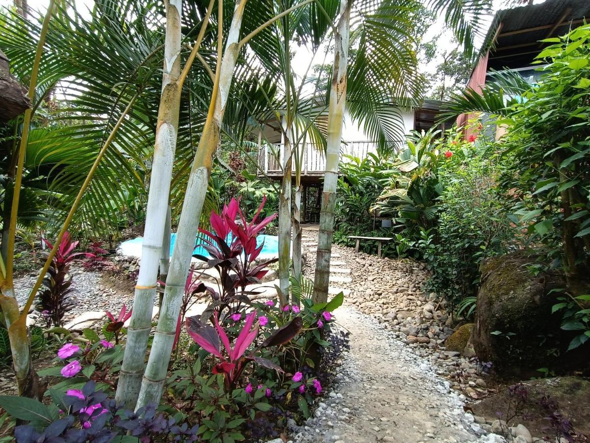 Cabana Vista Rio Celeste Exterior foto