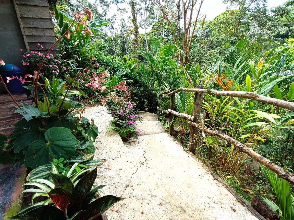 Cabana Vista Rio Celeste Exterior foto